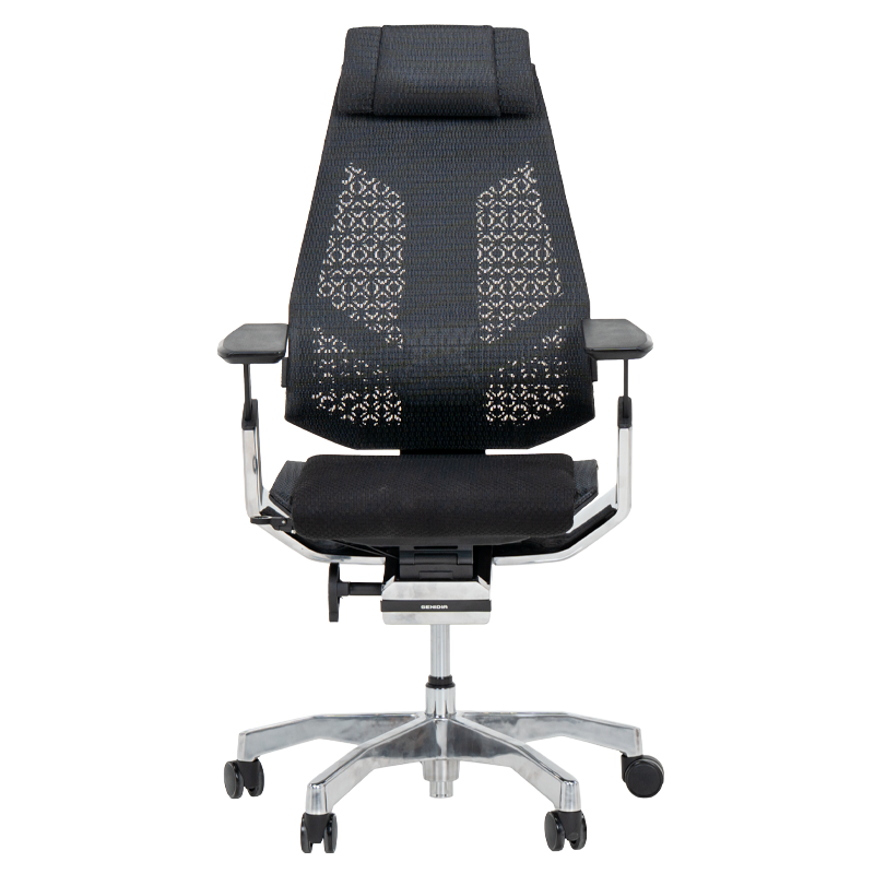 ergonomichen ofis stol ergohuman genidia 2 cheren 1 8